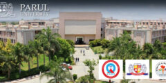 Parul Standardizes Stroke Services